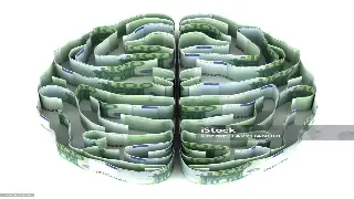 杭州金融新手起步：初期理财规划与风险意识培养指南 poster