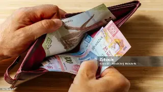 搞懂金融术语，避开“被割韭菜”陷阱：新手理财防坑指南